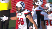 brad sinopoli football GIF by Ottawa REDBLACKS