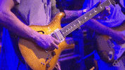 john mayer bonnaroo 2016 GIF by Bonnaroo Music and Arts Festival