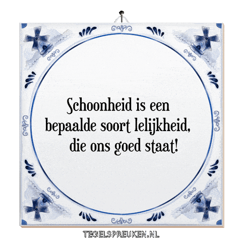 Reflectie Verandering Sticker by Tegelspreuken.nl