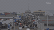 viceland GIF by ABANDONED