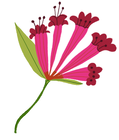 Pink Flower Sticker by Mexico In My Pocket