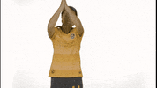 Houston Dash Sport GIF by National Women's Soccer League