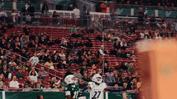 College Football GIF by USF Athletics