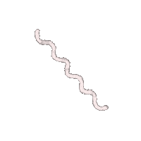 Line Curve Sticker by Tina