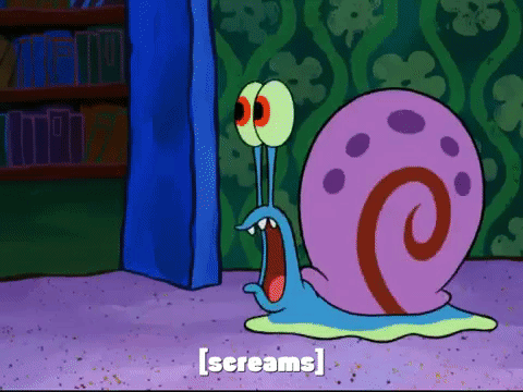 season 7 keep bikini bottom beautiful GIF by SpongeBob SquarePants