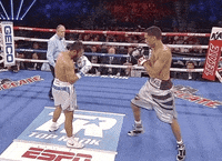 toprank fight boxing champion espn GIF