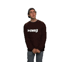 Oh No Lol Sticker by SWR3