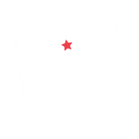 Connecticut Hartford Sticker by Fox Pest Control