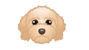 Cute Dog Sticker by zoopeez
