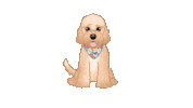Cute Dog Sticker by zoopeez