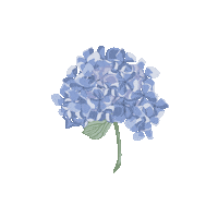 Spring Hydrangea Sticker by Kyte Baby