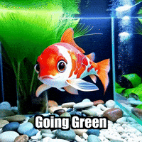 Trending Topics Going Green GIF by TheConfishius
