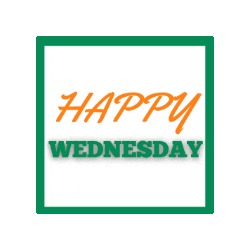 Wednesday Camel Sticker by GFN