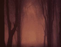 Staff Halloween Costumes GIF by Halloween