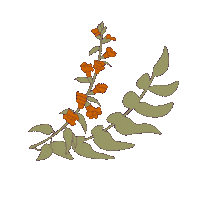 audreystylez flower hair audreystylez audrey stylez Sticker
