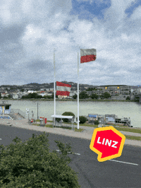 Austria View GIF by Linz News