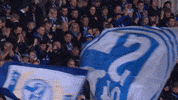Football Soccer GIF by FC Schalke 04