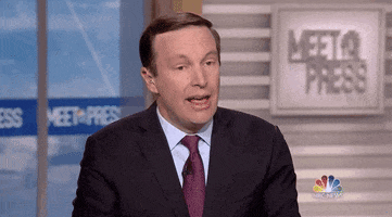 news chris murphy GIF