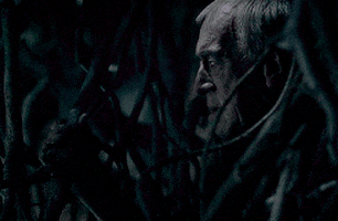 123abcd1234 giphyupload GIF