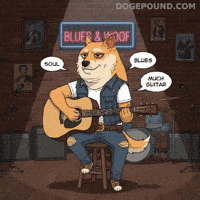 Chill Guitar GIF by Doge Pound
