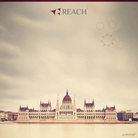 Reach_Immigration passport immigration citizenship GIF