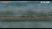 The Underdog GIF