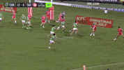 Nrl GIF by Canberra Raiders