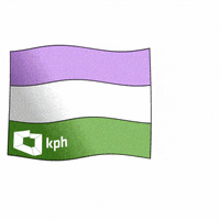 Kampania_Przeciw_Homofobii pride lgbt flag lgbtq GIF