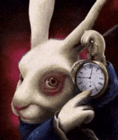 No Way Love Time GIF by Bashar