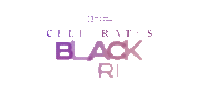 February Black History Month Sticker by HULU