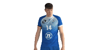 Volleyball Bundesliga Sticker by Vfb Friedrichshafen Volleyball
