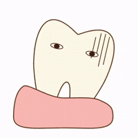 Tooth Sika GIF by dental_sozai