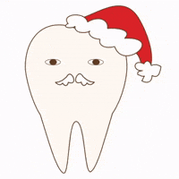 Merry Christmas GIF by dental_sozai