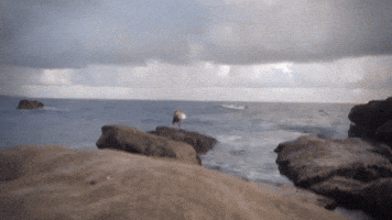 Rockpile, Laguna Beach