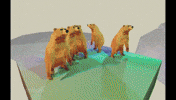 Dancing Bear Bears GIF