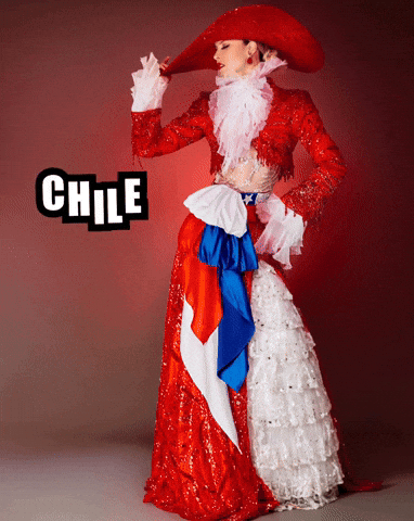 visiblechile chile francisca lavandero GIF