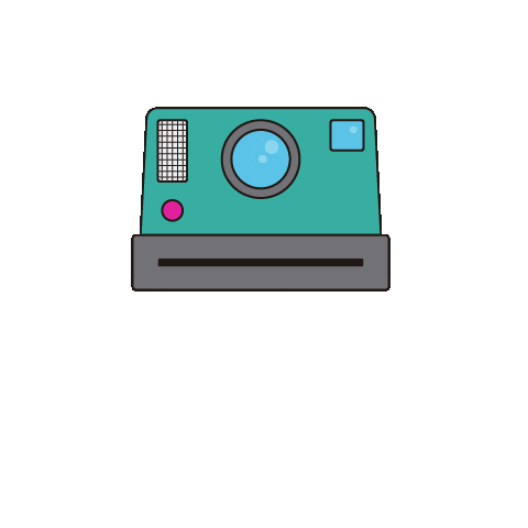 RoomMateHotels photo camera shoot foto Sticker