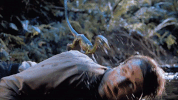 jurassicpark GIF by Jurassic World
