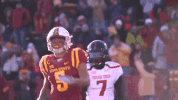 cyclonestv lazard strut GIF