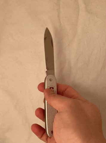 petervirtanen giphyupload GIF