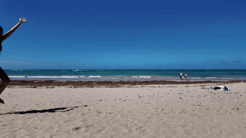 Beach Day Pisces Season GIF