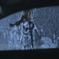 Vw Drivers Wanted GIF by Volkswagen USA