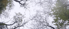 thelma GIF by The Orchard Films