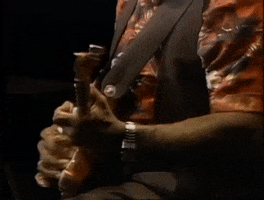 guitar slide GIF by Muddy Waters