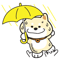 Yellow Rain Sticker by SHIBAINC