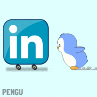 Work Penguin GIF by Pudgy Penguins