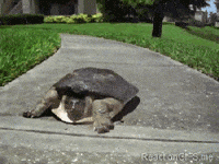 out of here lol GIF