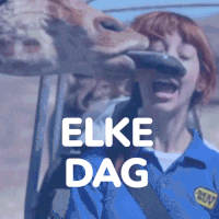 GIF by VakantieVeilingen