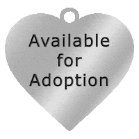 SBcountyDPH pet adoption san bernardino animal care animal adoption Sticker