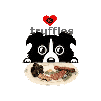 Dog Food Sticker by Karlić tartufi